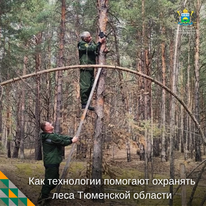 🚁 Патрулирование лесов в регионе ведётся с помощью современных технологий. В распоряжении государст