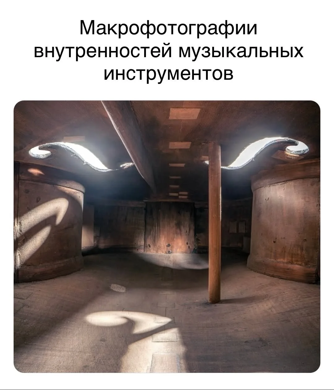 Фотограф Чарльз Брукс раскрывает внутренние миры музыкальных инструментов в своей серии