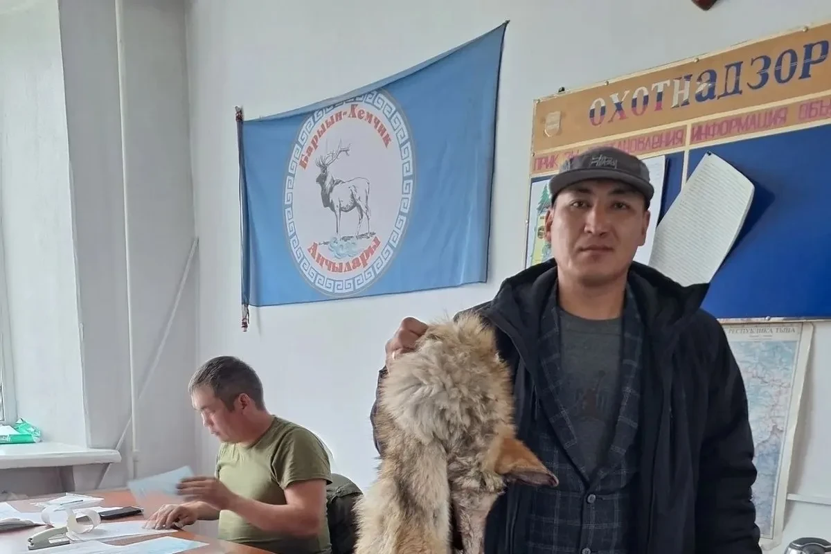 =Заголовок: В Туве в этом году добыто 329 волков