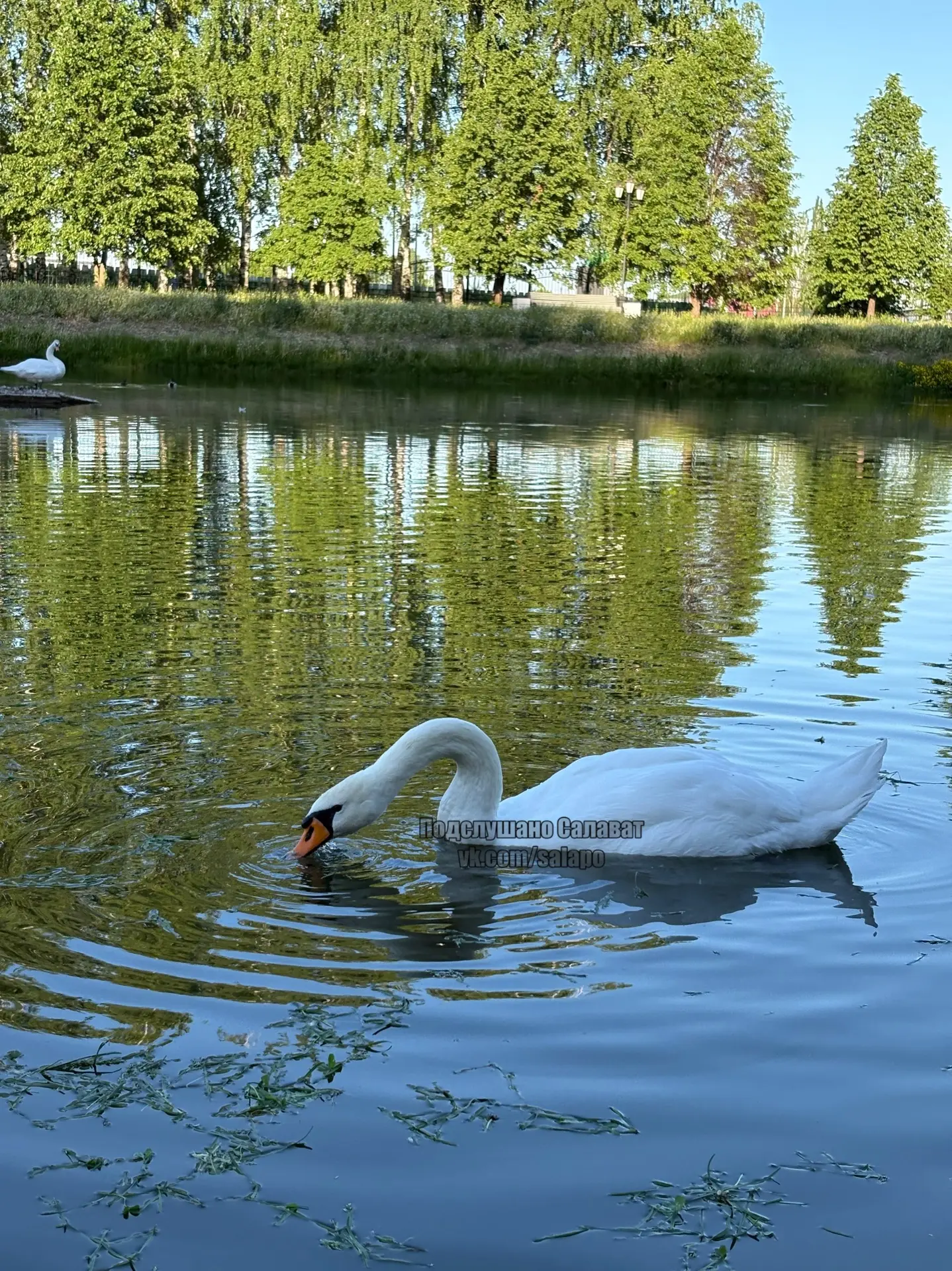 🦢 ❤️ 🦢  Подписаться на Подслушано Салават