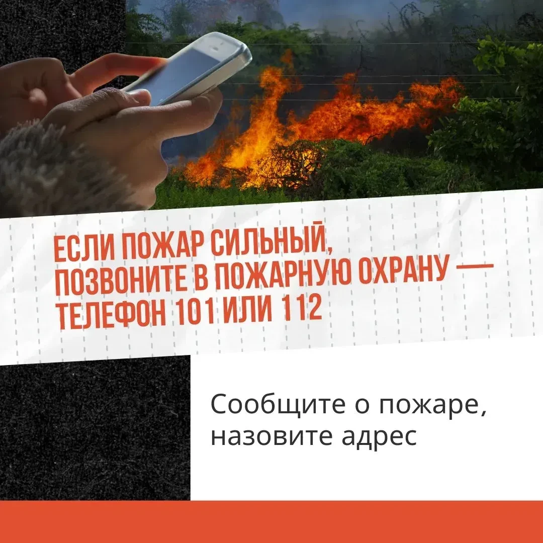 🔥 Трава — не дрова!