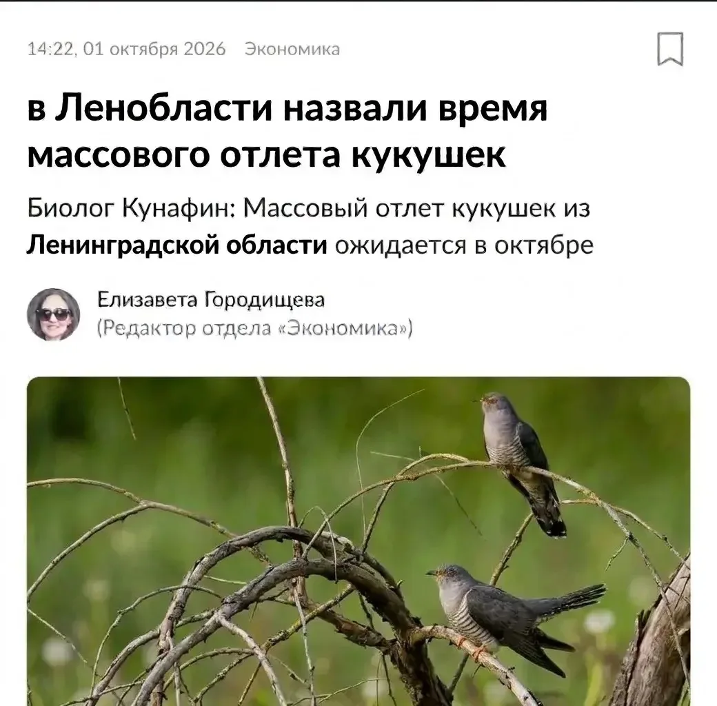 В Ленобласти назвали время массового отлёта кукушек. Моя уже в процессе... 😅🤪