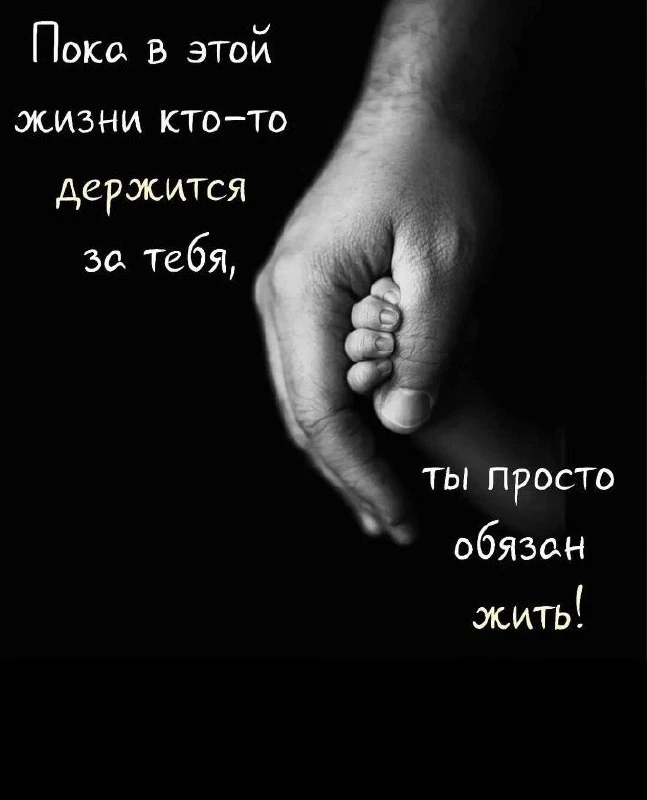 🎯 Мудрость народная ☀️