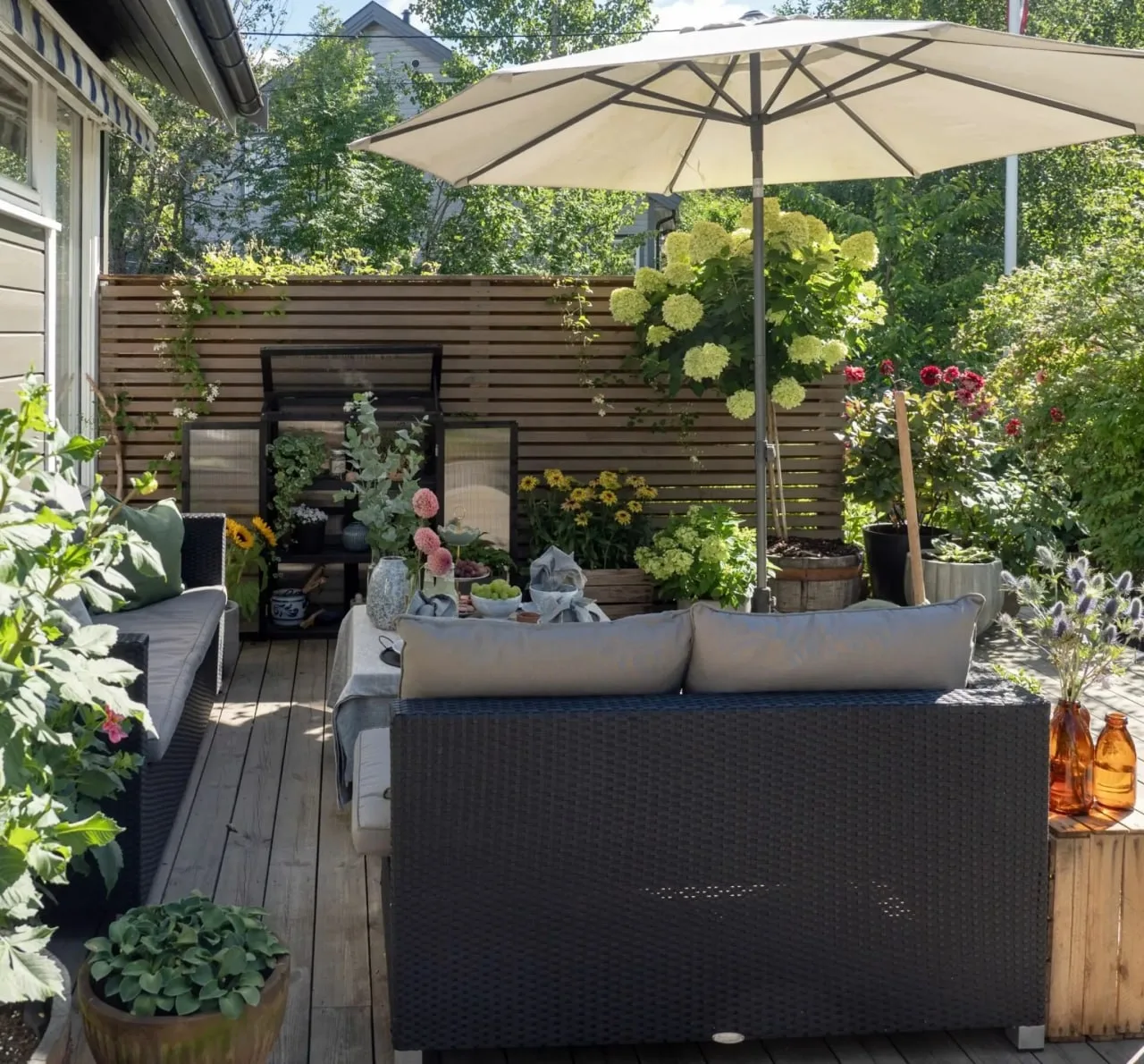 🤩 🤩  HYGGE САД.