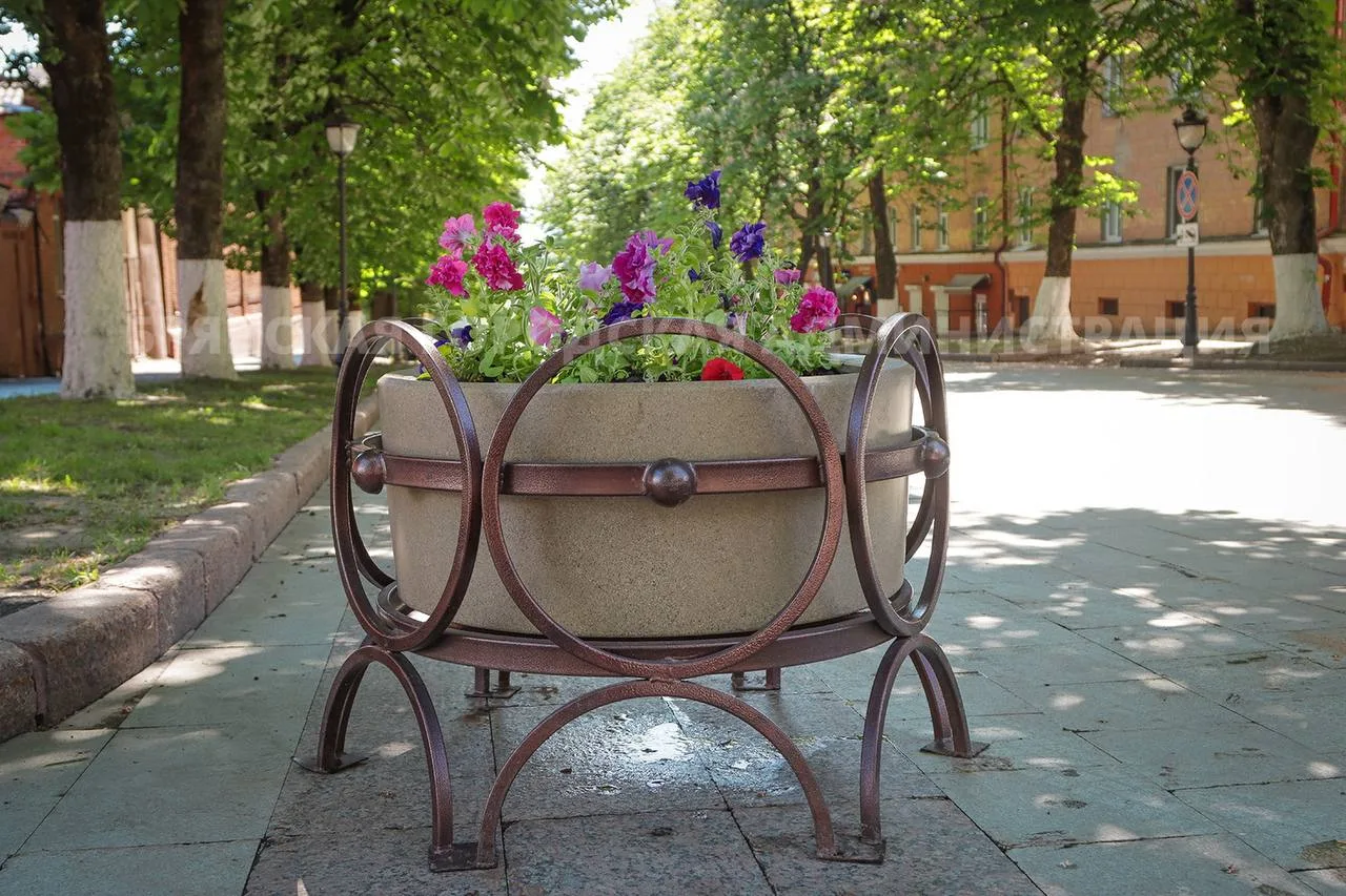 В сквере Карла Маркса припарковалась цветочная карета   В сквере Карла Маркса преобразилась установл