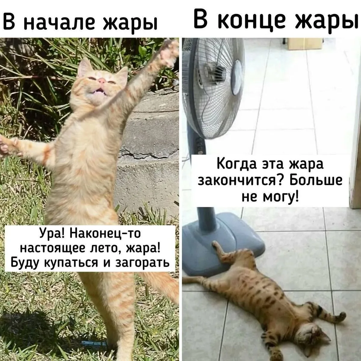 🥵В Кировской области 27 июля выдался экстремально жарким днем 

Максимальная температура:

34.7 С° 