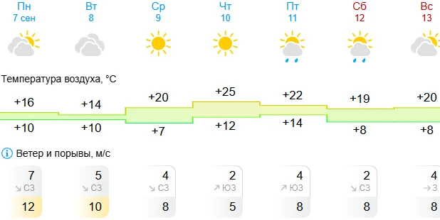 ‼Погода в Липецке на эту неделю🌦