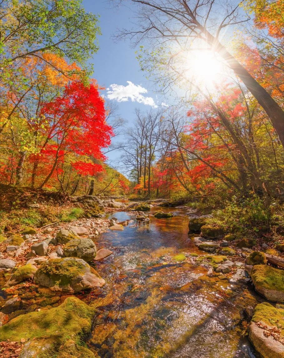 Новый учебный день начинаем чудесным снимком тайги 🍂 С добрым утром ☕