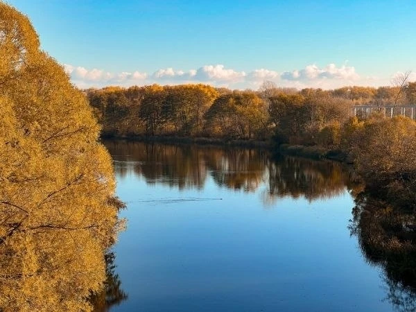 В Курской области похолодает до +1