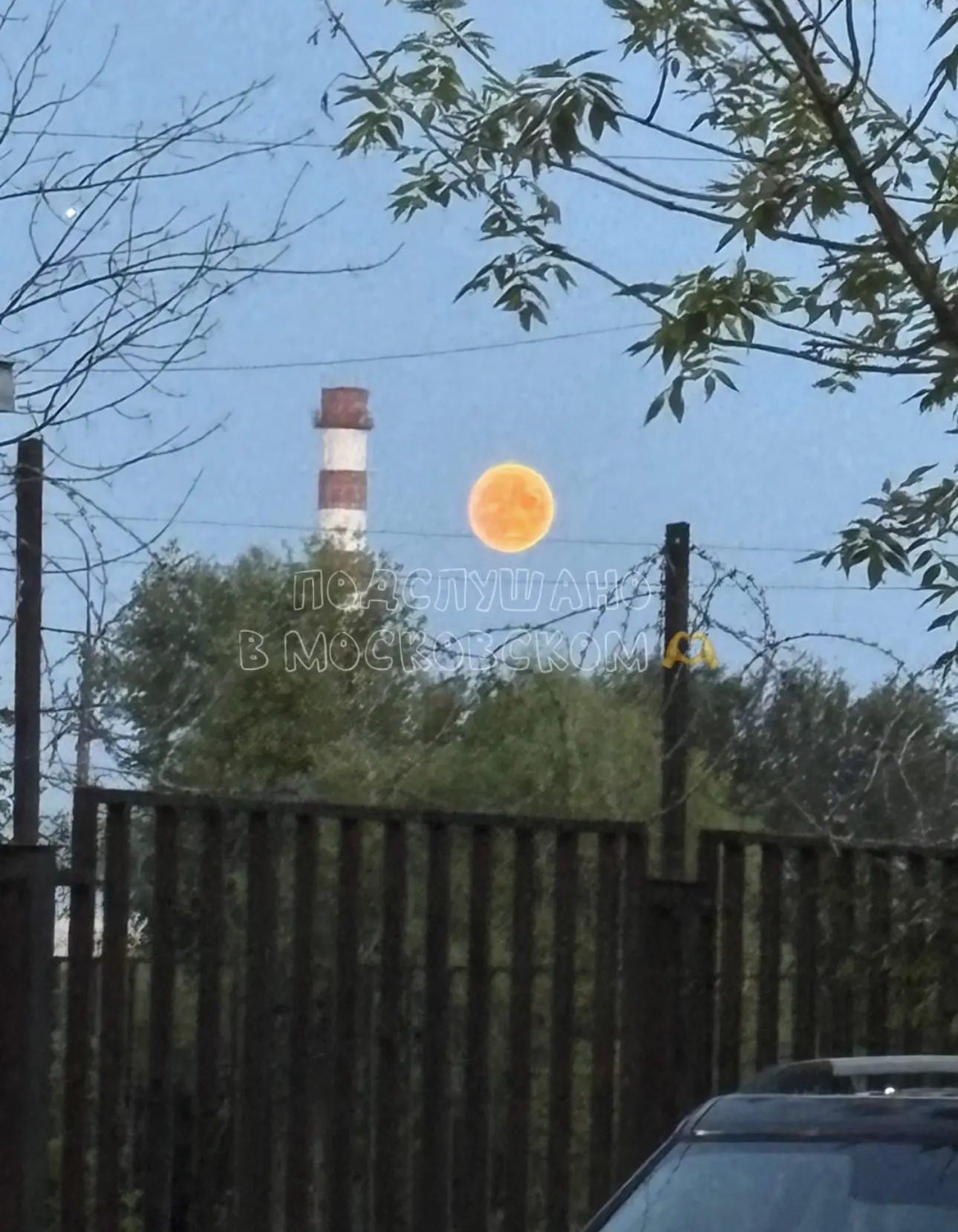 🌝 «Оленья Луна» в небе над Новой Москвой

Спасибо подписчице за яркий снимок  👍 

Делитесь фотогра