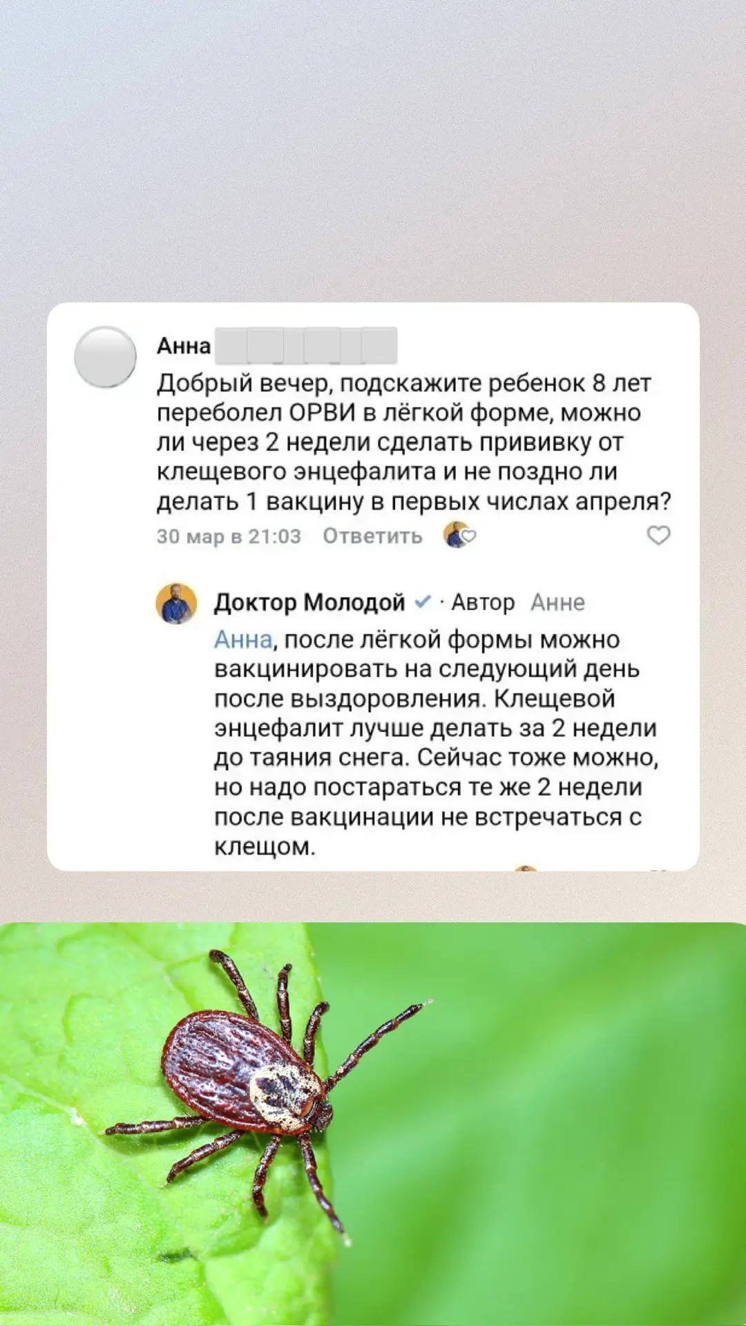 - когда можно вакцинироваться от клещевого энцефалита, если недавно перенес ОРВИ - можно ли подцепит
