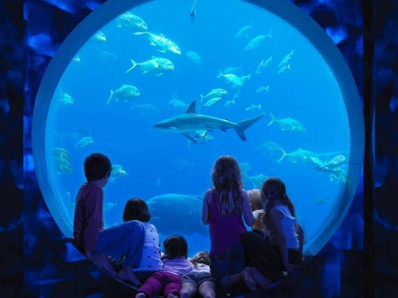 Идем с первоклассниками бесплатно в океанариум 🐠