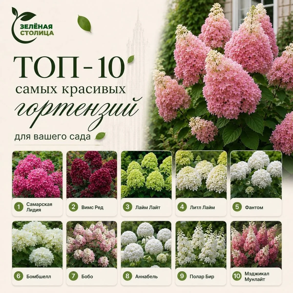 Домашний ботаник🪴