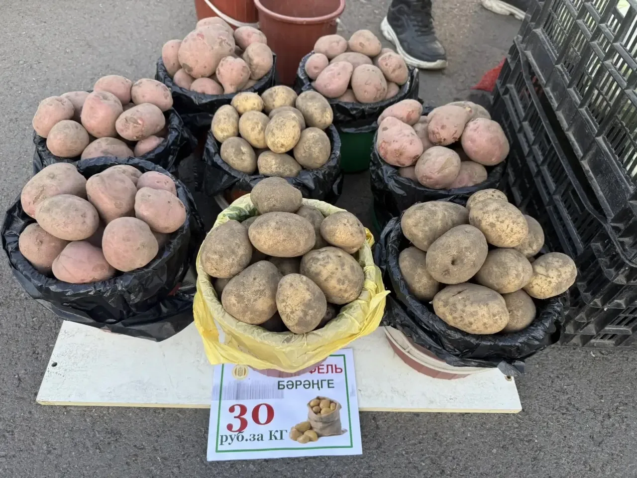 🥩Сельскохозяйственная ярмарка у стадиона «Строитель»: всё своё, свежее, местное!