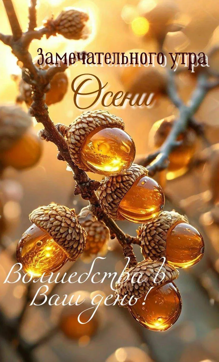 Доброе утро! 🌷