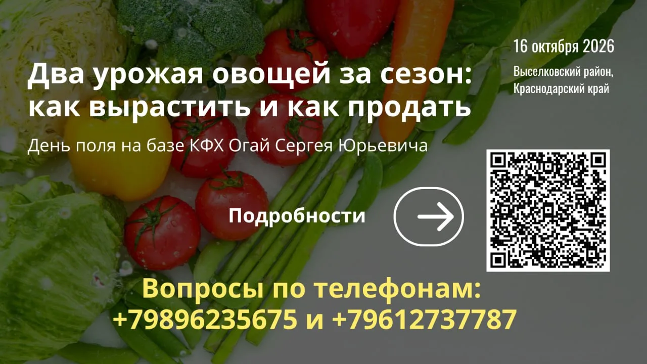 🔥 Два урожая овощей за сезон: как вырастить и как продать | День поля на базе КФХ Огай...
