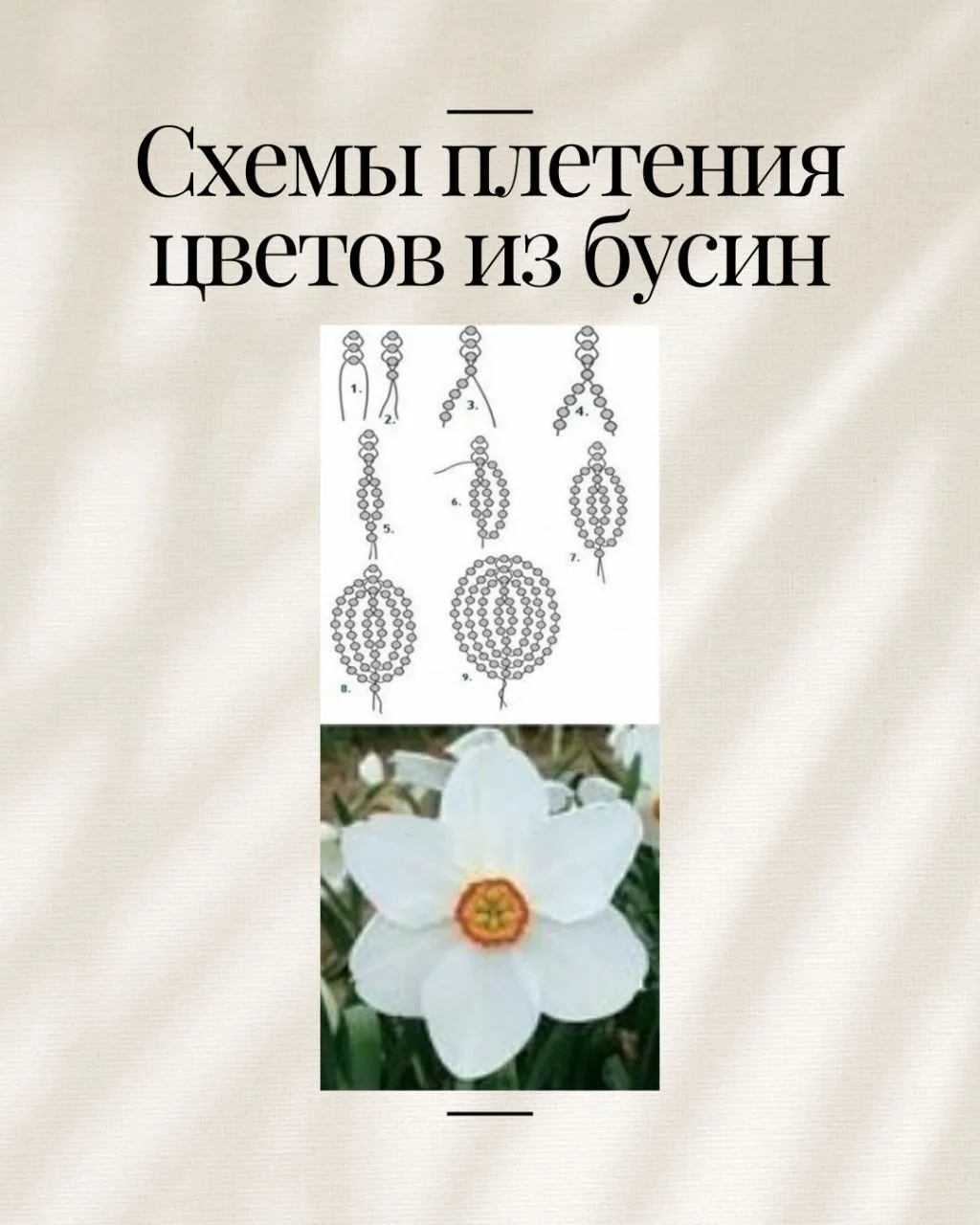 ✨ Схемы плетения цветов из бусин. Часть 3 ✨