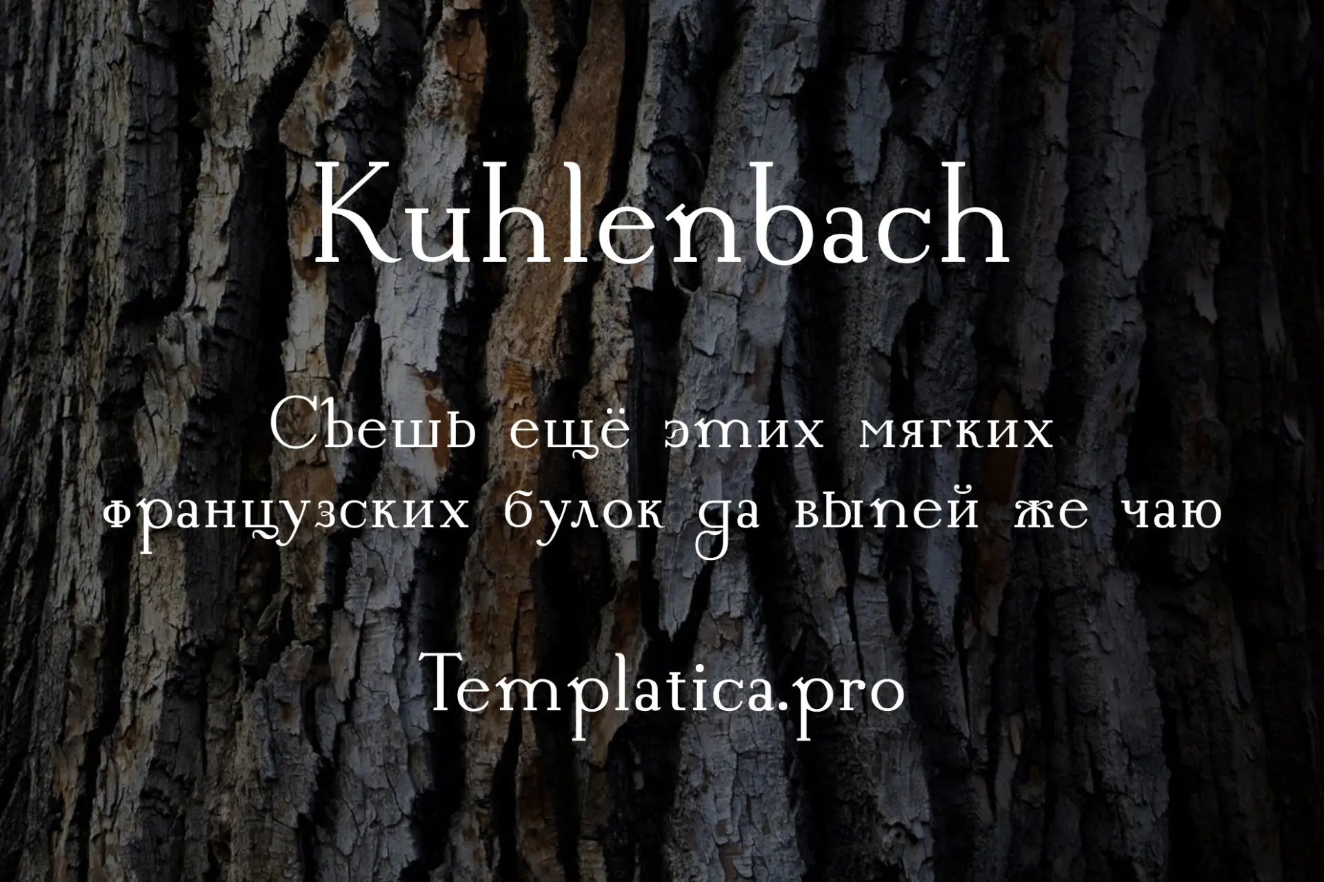 Kuhlenbach
Элегантный винтажный шрифт с выразительными засечками и историческим характером. Вдохновл