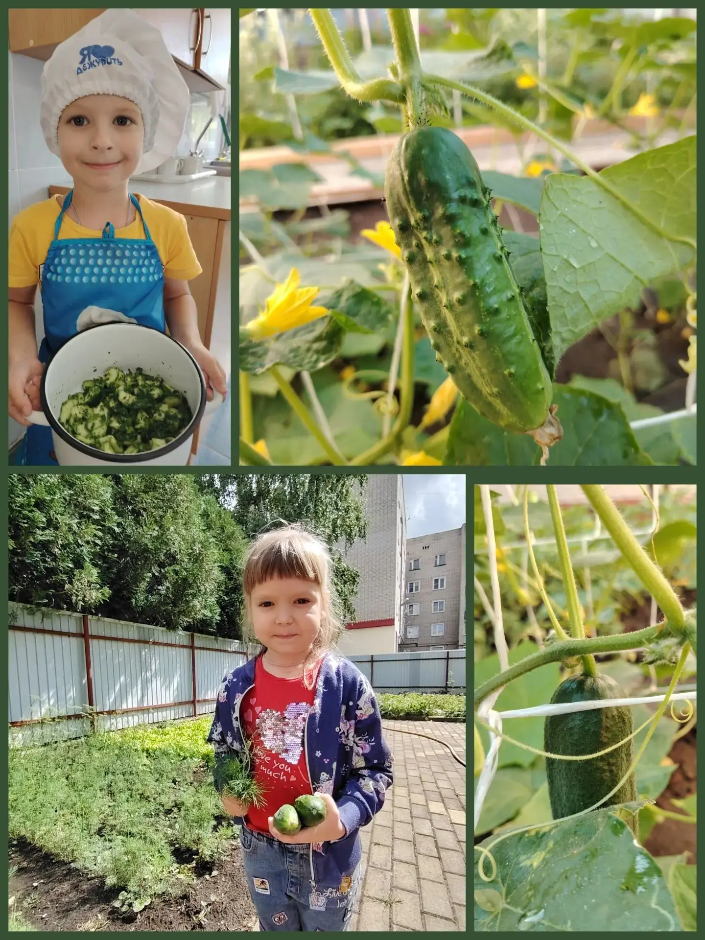 Первые огурчики с грядки — это не просто еда, это маленькая победа! 🌱