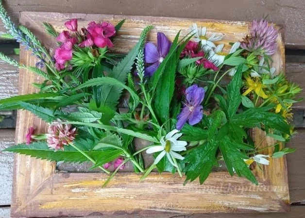 🍀🐌🦋 Уважаемые родители и дети! 

☀ Лето — прекрасная пора не только для отдыха, но и отличная воз