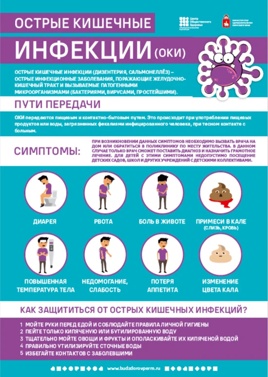 КИШЕЧНЫЕ ИНФЕКЦИИ: КАК ЗАЩИТИТЬ СЕБЯ И БЛИЗКИХ Почему это важно знать каждому?