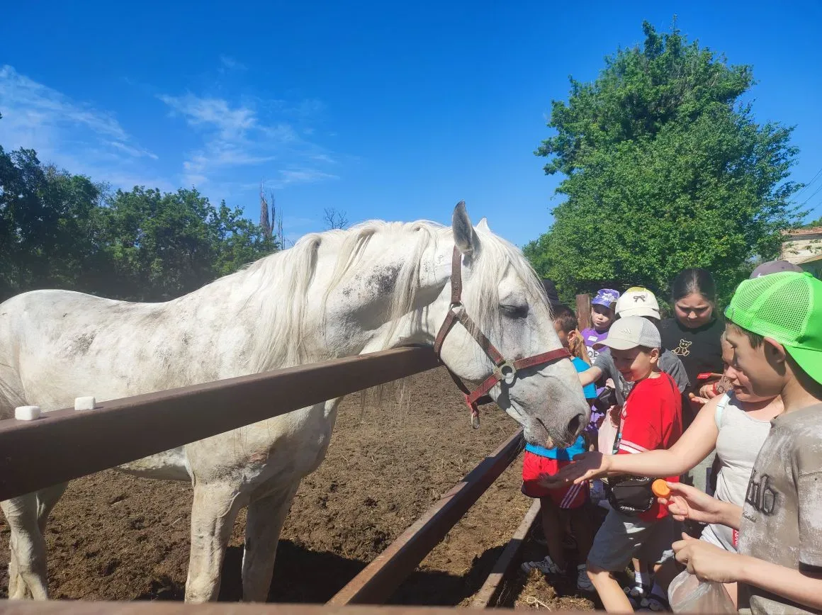 🐴 ГБОУ ЛНР «Беловодская СШ №1»: День Родного края – галопом по истории! ❤️🇷🇺

Сегодня в нашей тем