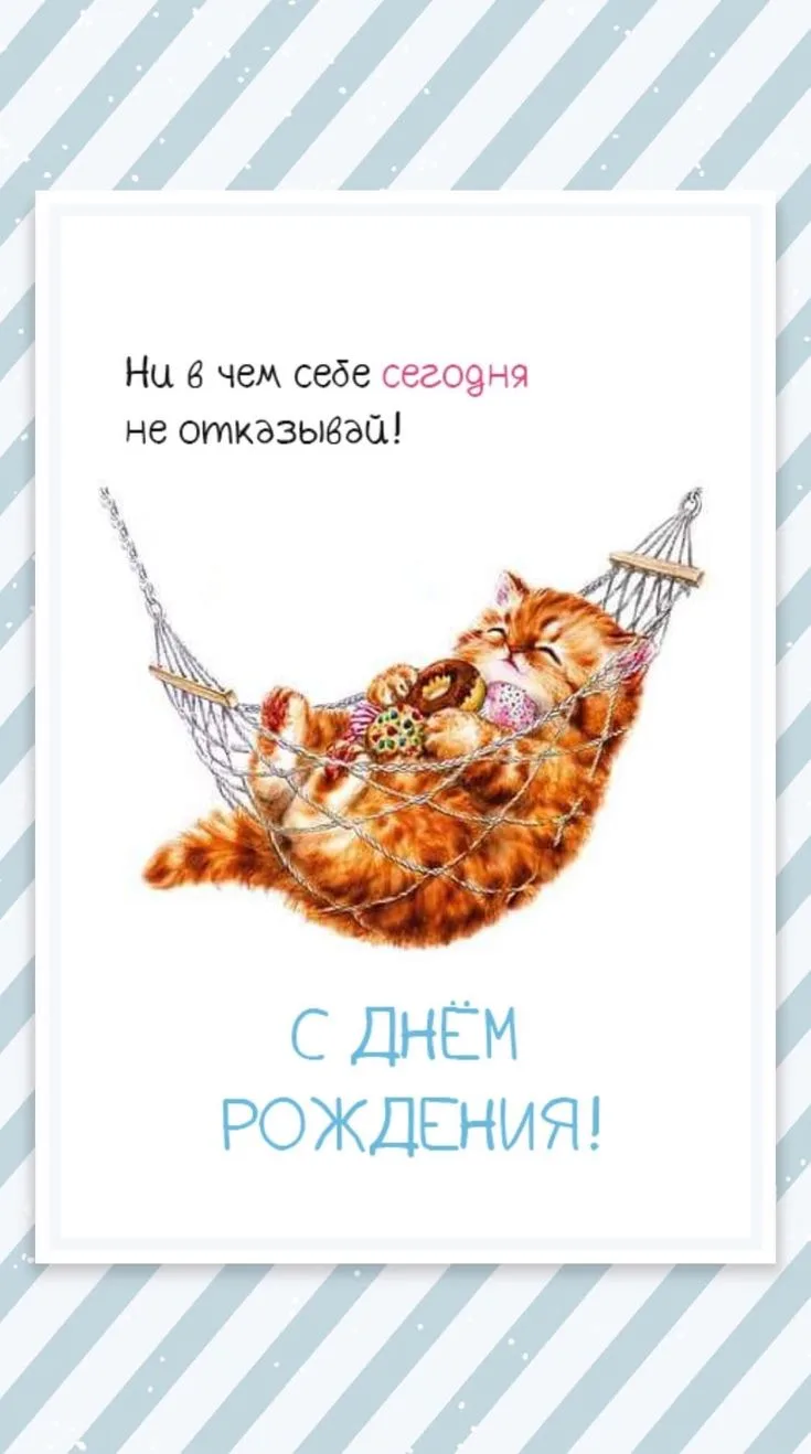 https://max.ru/invista123456