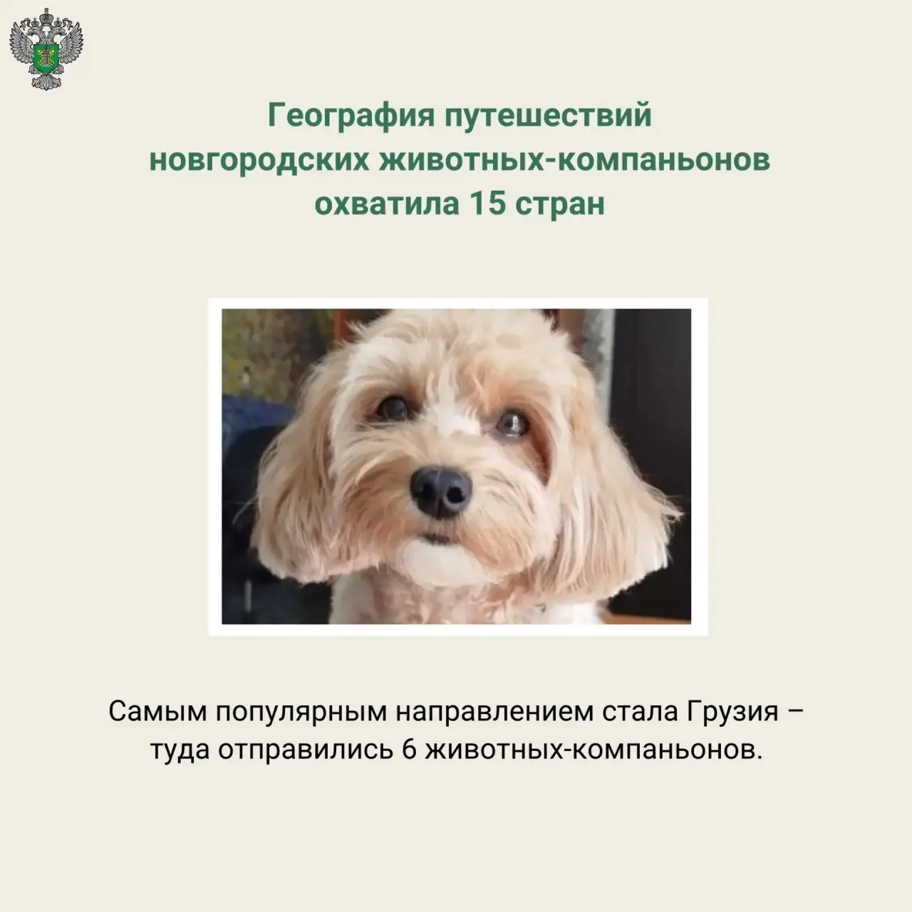 🔗 Подробнее на сайте
