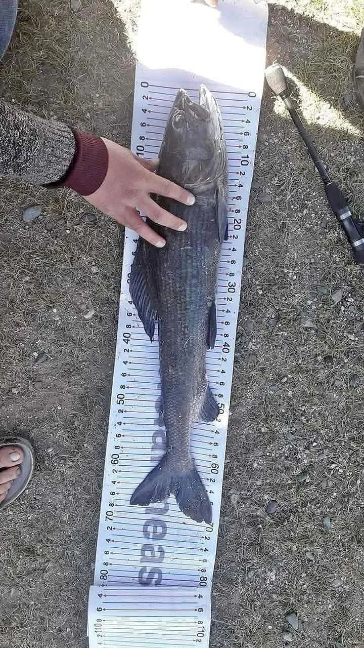 Обратная связь от Романа 💪 👍🤝🔥💯🤠🎣