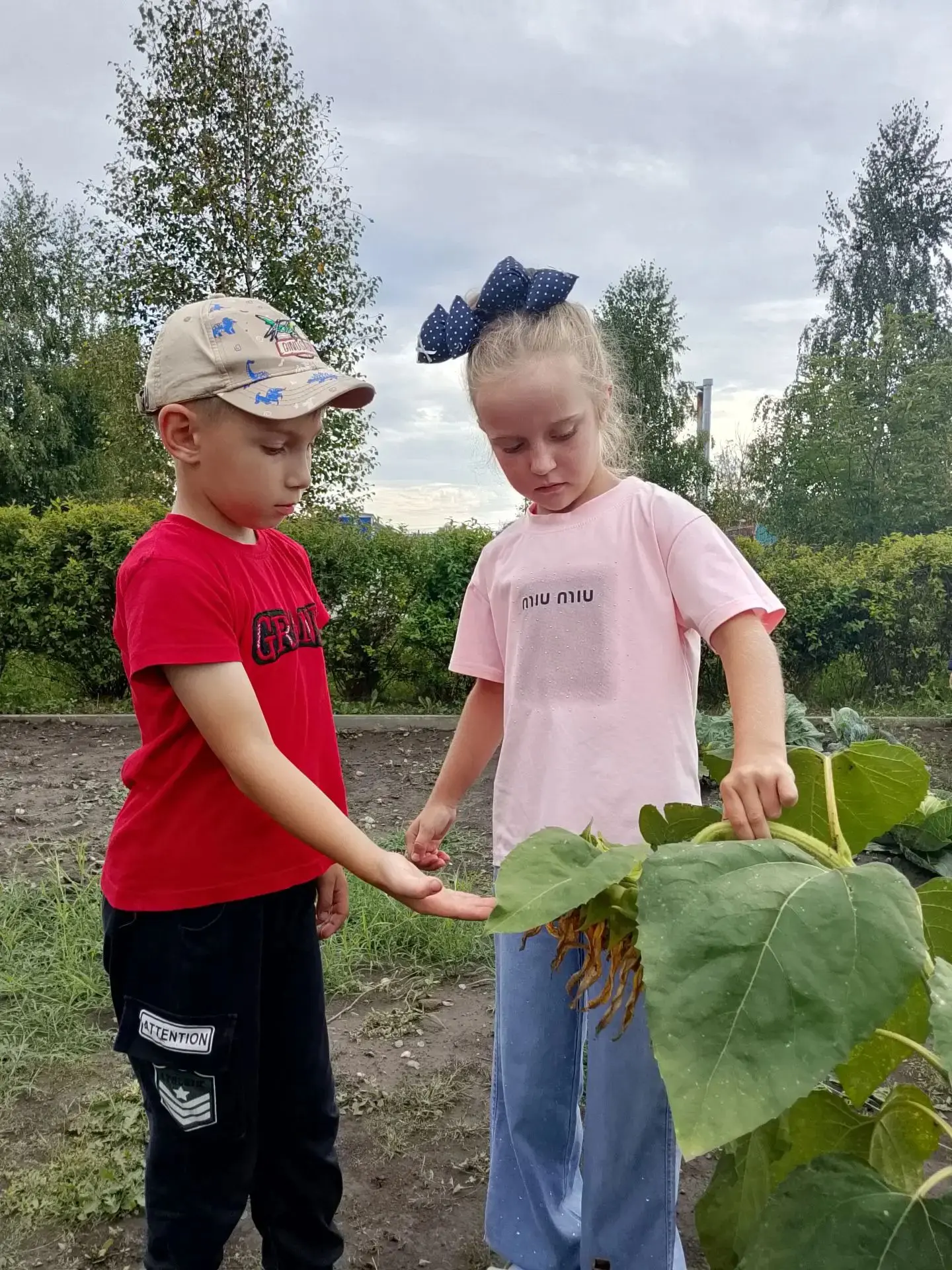🌿 Что растёт на огороде у группы «Сказка»?