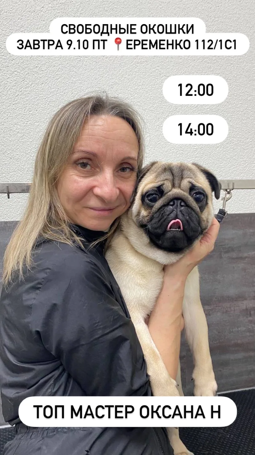 Свободные окошки на филиале Еременко завтра 🐾