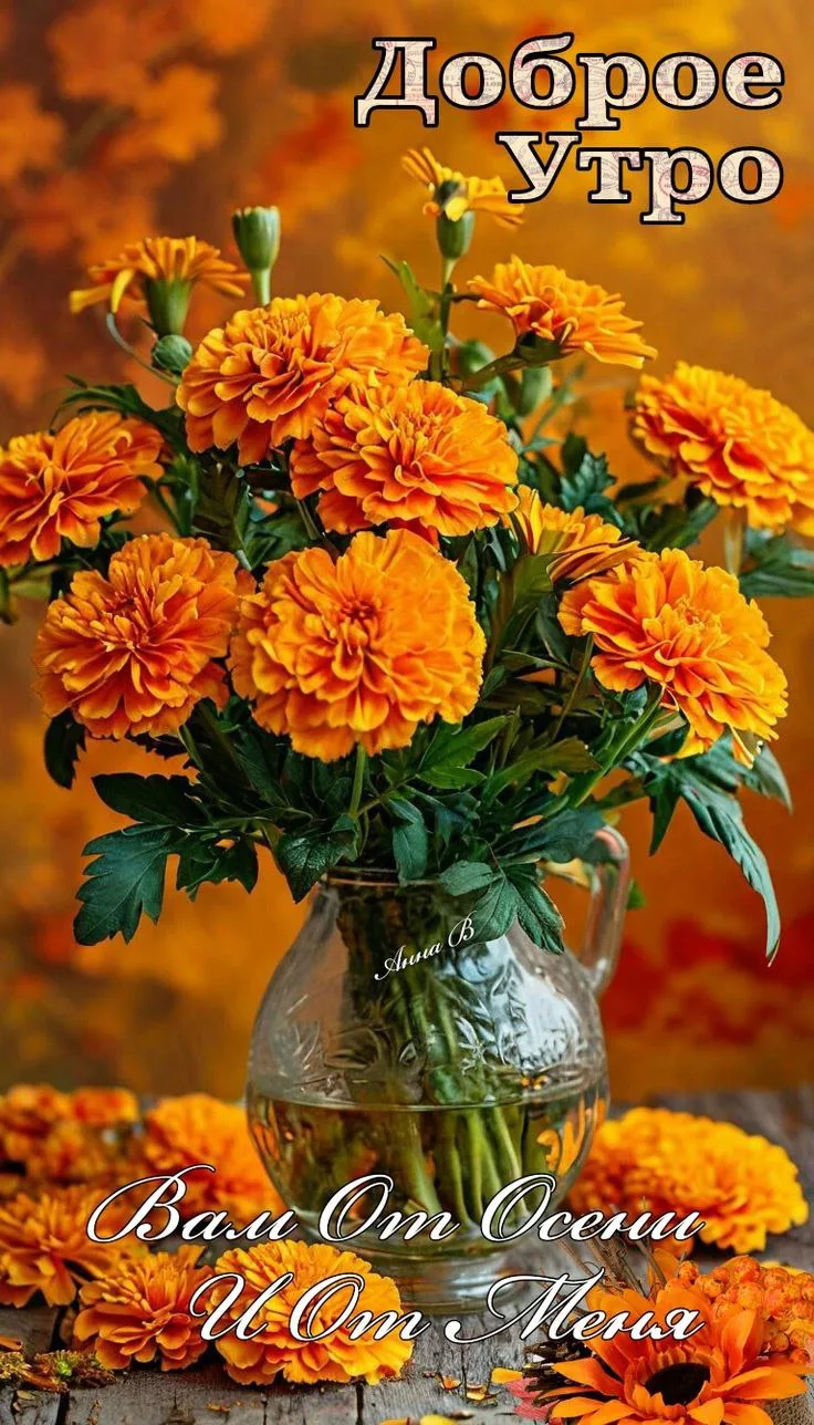 Открытки любимым 🌸🥰