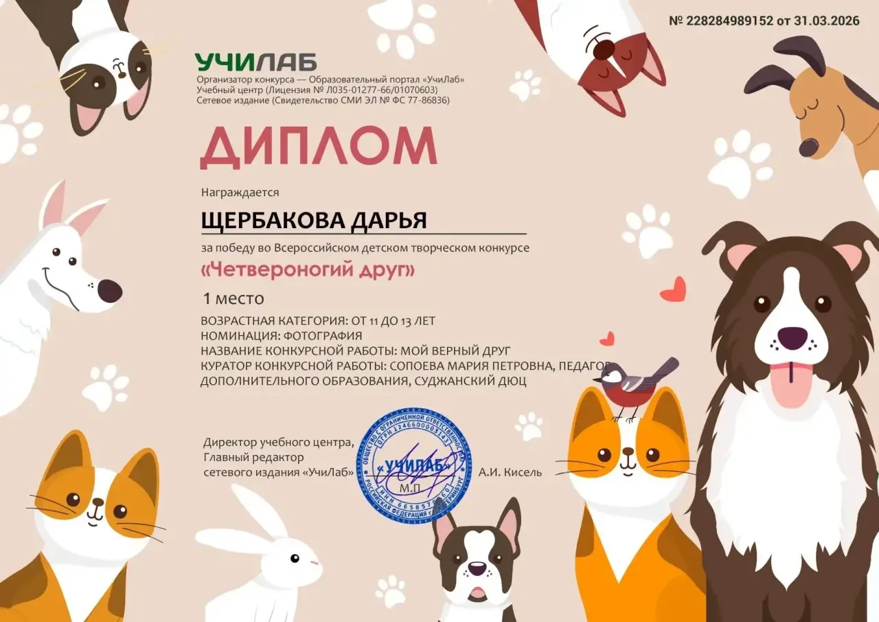 Четвероногий друг — это домашнее животное, которое является верным спутником, компаньоном и любимцем