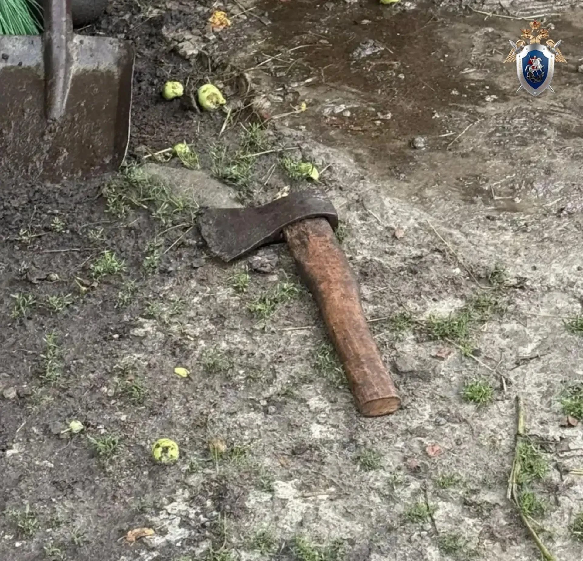 Под Курском пенсионер пытался зарубить соседку топором