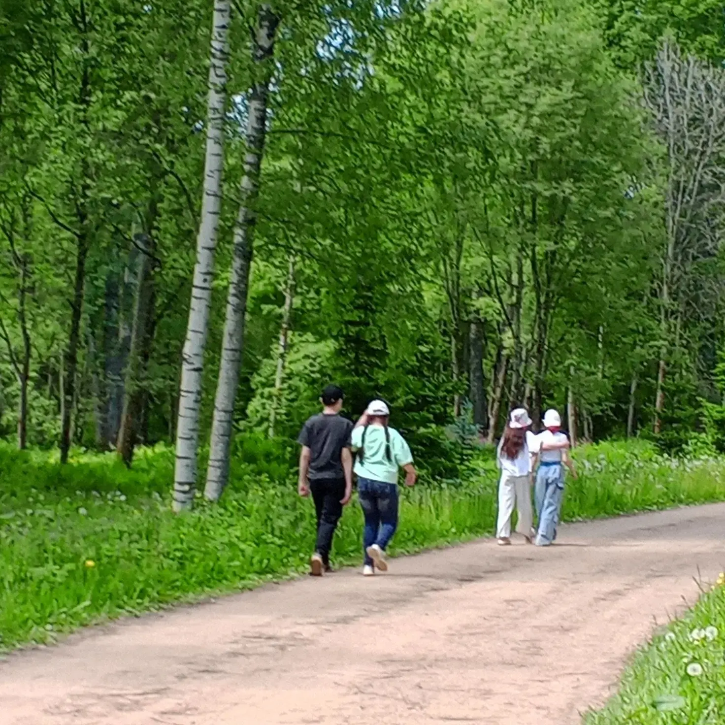 🌿 Тропою природы: полезное лето с пользой! 🌞

3 июня для ребят из пришкольного лагеря дневного пре