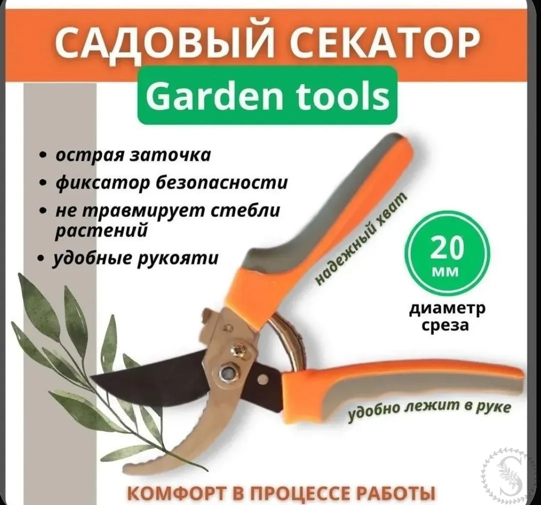 https://vk.com/photo-184814919_492861276