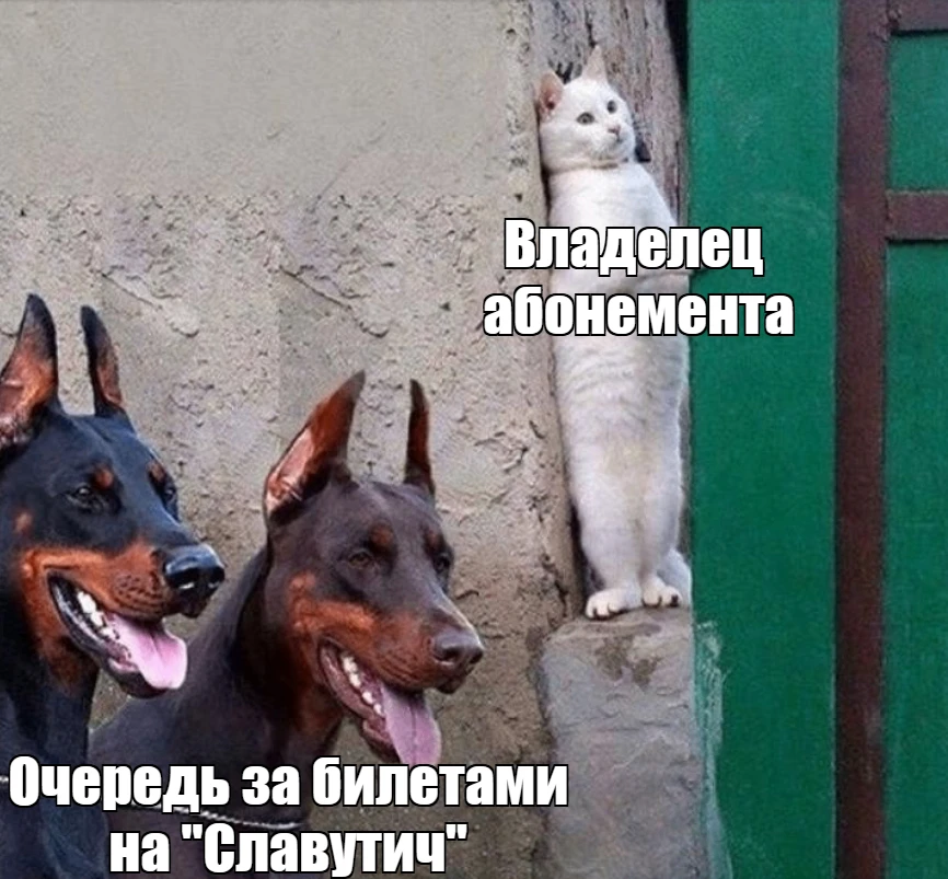 Да начнется битва!😁