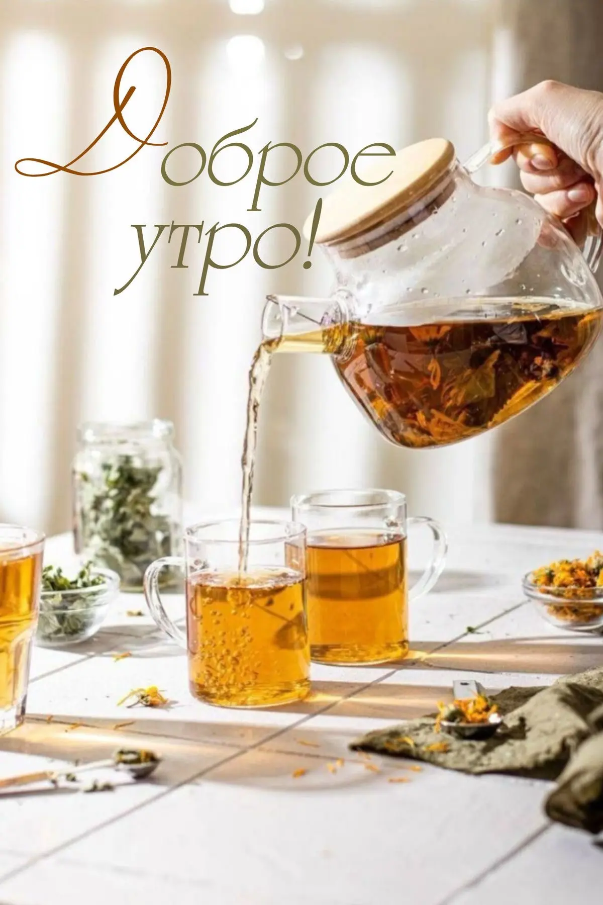 Изображение 1 к публикации «КРАСИВЫЕ ОТКРЫТКИ ТУТ»