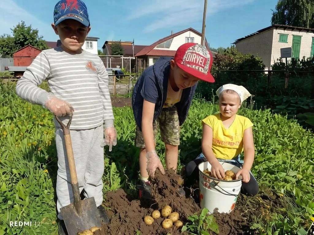 Неделя добрых дел в нашем детском саду!