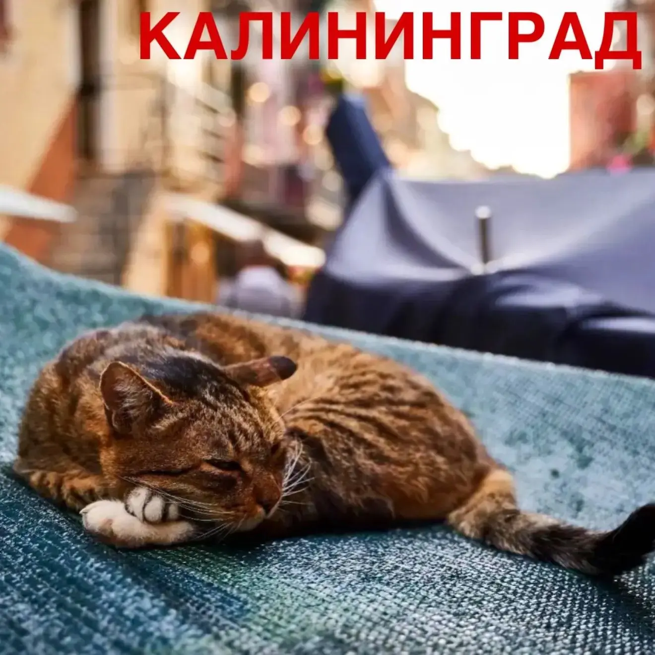 Есть планы на июнь?😎