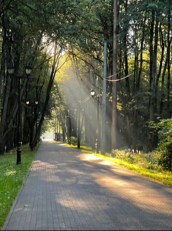 Парк Фили 🌳

- это идеальное место для семейного отдыха и уединения с природой. Здесь можно наслади