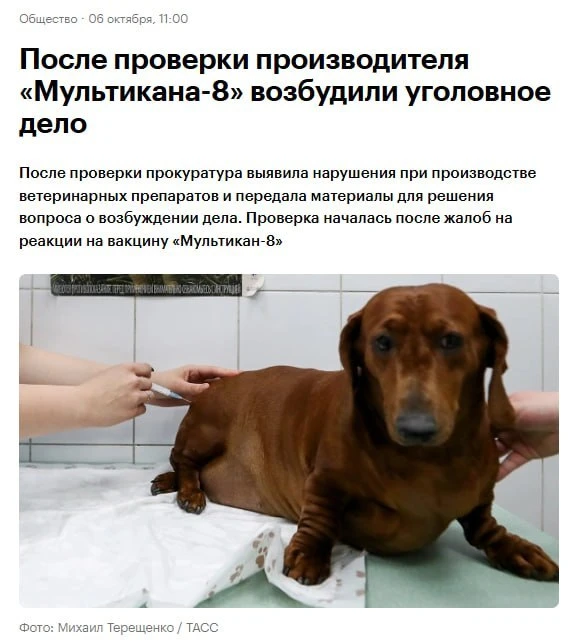 У смертельной вакцины «Мультикан-8», от которой погибло более 300 собак по всей России,...