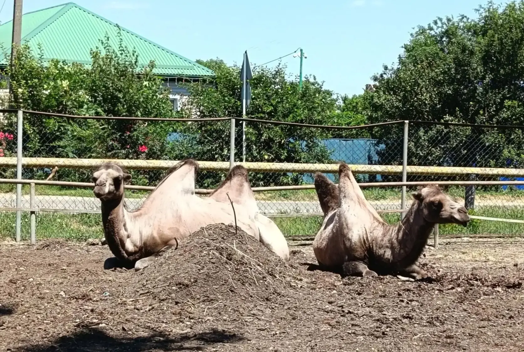 Солнечные ванны по расписанию