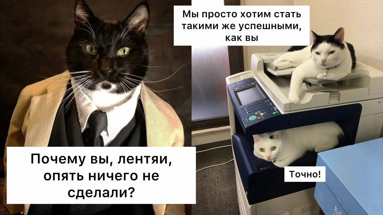 Ленивые сотрудники чаще становятся руководителями, — психологи