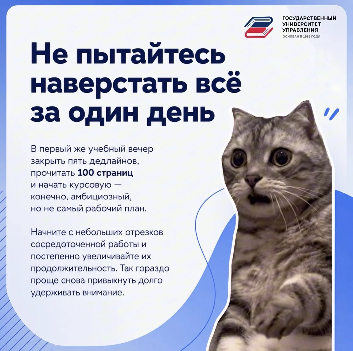 Что происходит с мозгом после каникул? 🧠