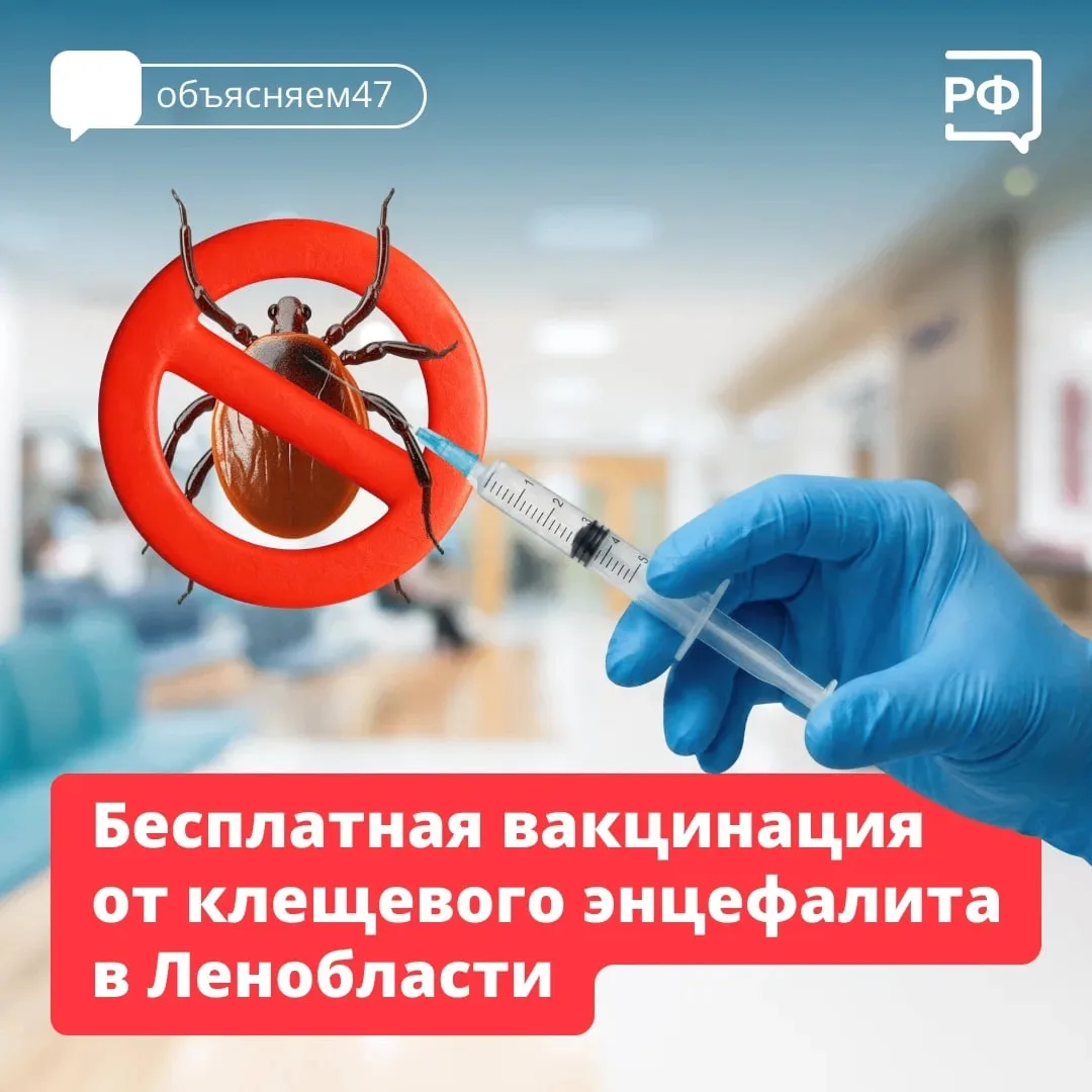 Самый надежный способ защиты от клещевого энцефалита — это бесплатная вакцинация.