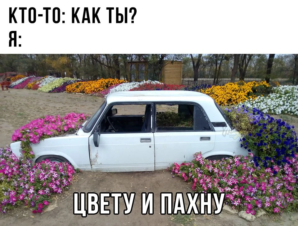 🚗 С улиц Нижнего массово убирают брошенные машины