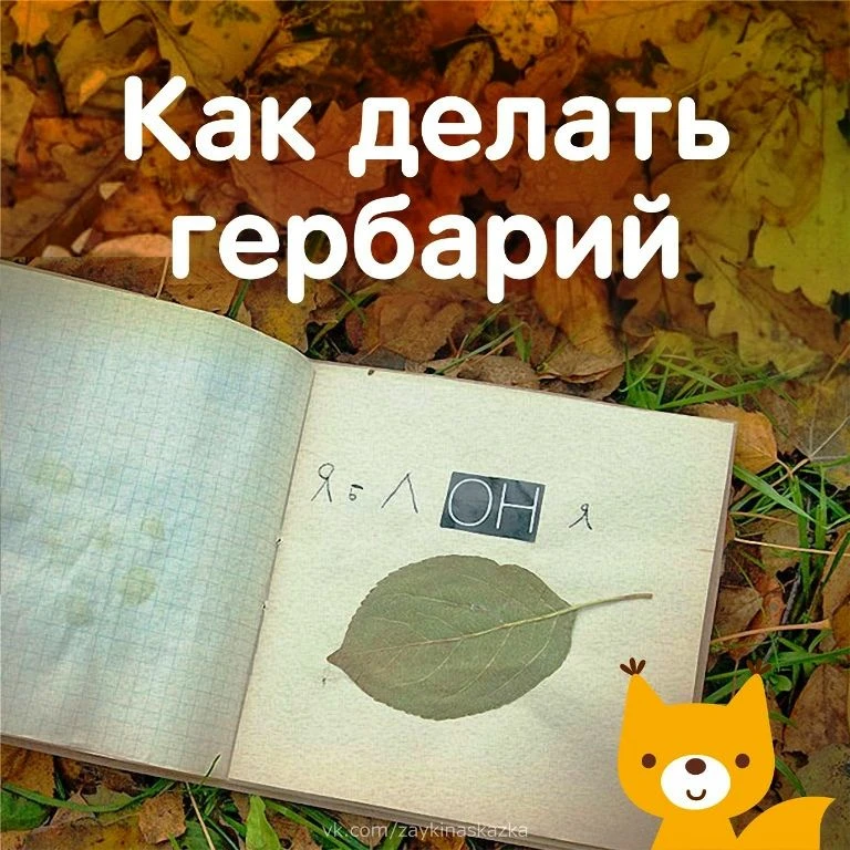 «Ох, уж эти детки…»: школа юного натуралиста, выпуск 1