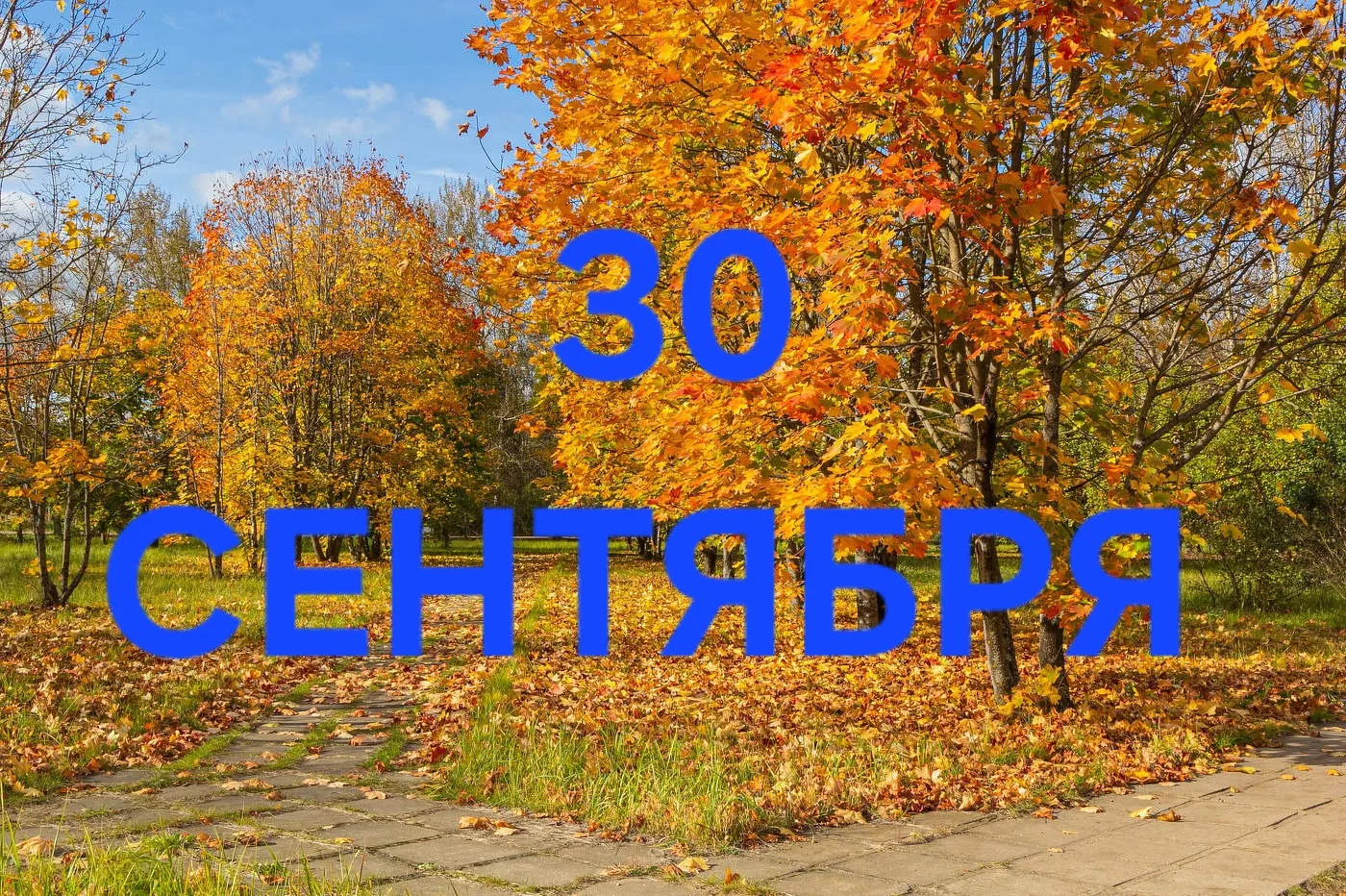 30 Сентября: День порядка, собранности и сюрпризов 😎🎁🛍