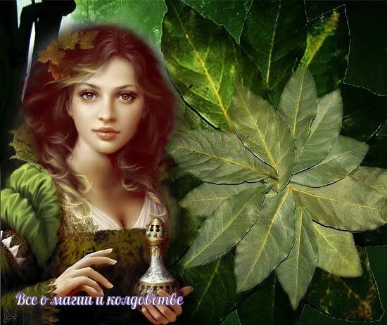 РИТУАЛЫ С ЛАВРОВЫМИ ЛИСТЬЯМИ🍃

Новолуние или растущая луна - вот время, когда ритуалы с использован